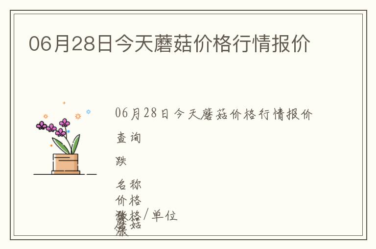 06月28日今天蘑菇價(jià)格行情報(bào)價(jià)