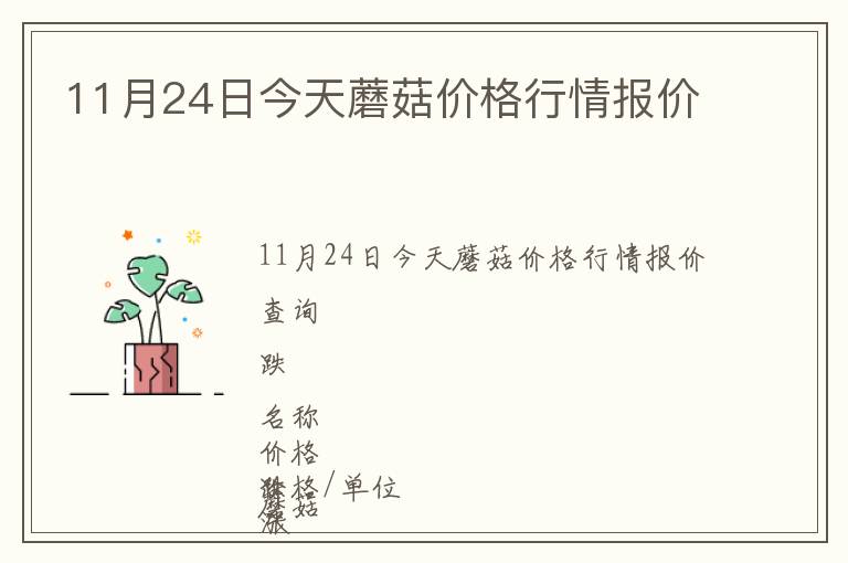11月24日今天蘑菇價格行情報價