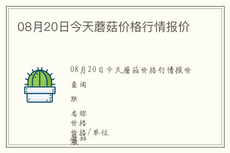 08月20日今天蘑菇價格行情報價