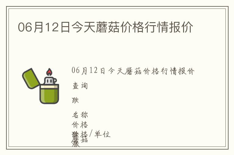 06月12日今天蘑菇價格行情報價