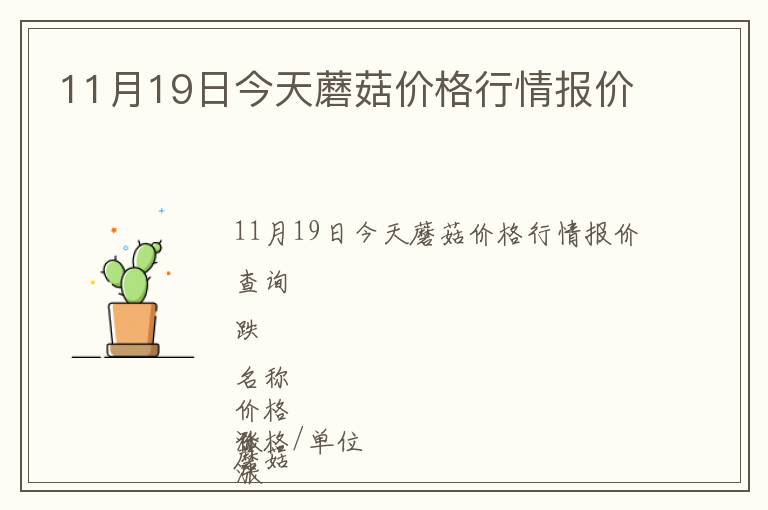 11月19日今天蘑菇價(jià)格行情報(bào)價(jià)