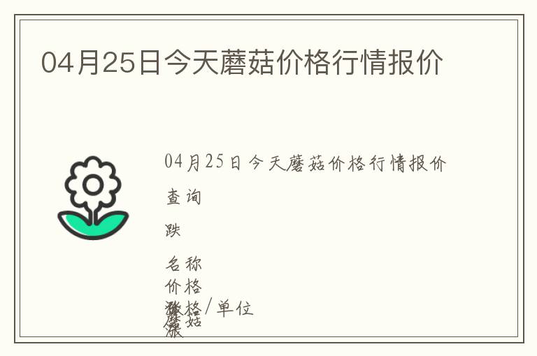 04月25日今天蘑菇價格行情報價