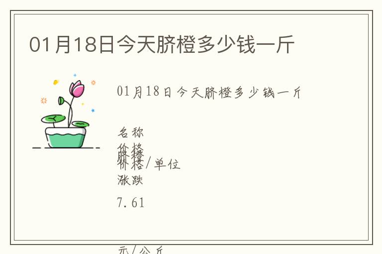01月18日今天臍橙多少錢一斤