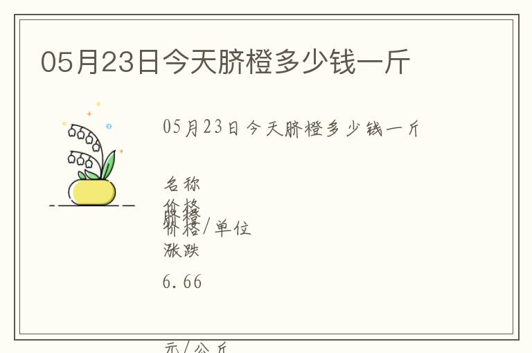 05月23日今天臍橙多少錢一斤