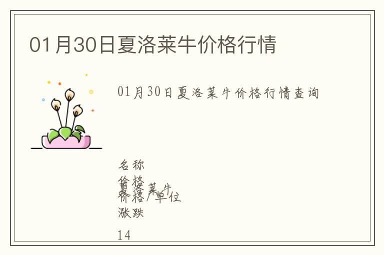 01月30日夏洛萊牛價格行情