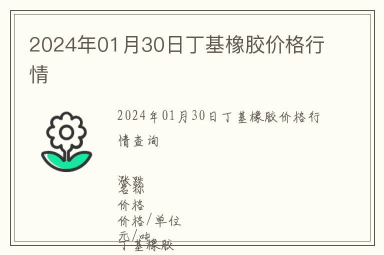 2024年01月30日丁基橡膠價格行情
