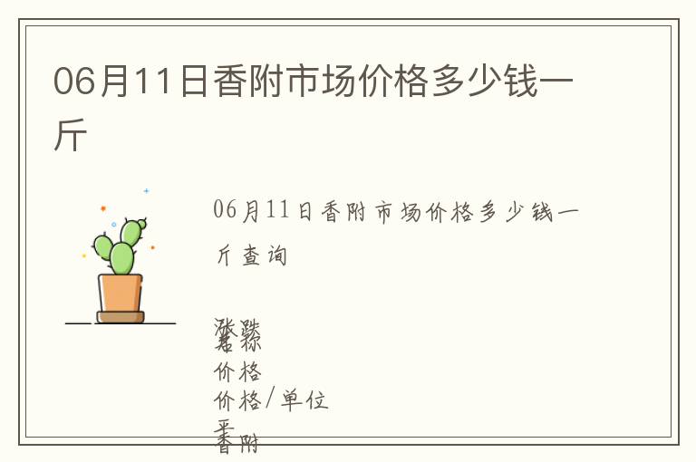 06月11日香附市場價格多少錢一斤