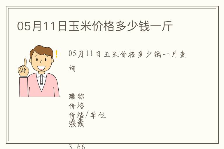 05月11日玉米價格多少錢一斤