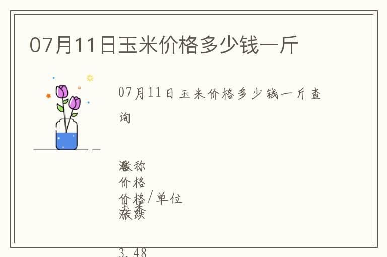 07月11日玉米價格多少錢一斤