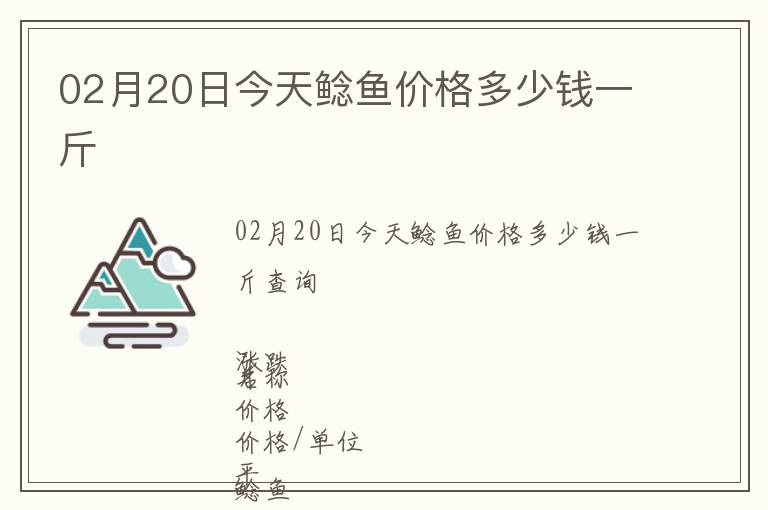 02月20日今天鯰魚價格多少錢一斤