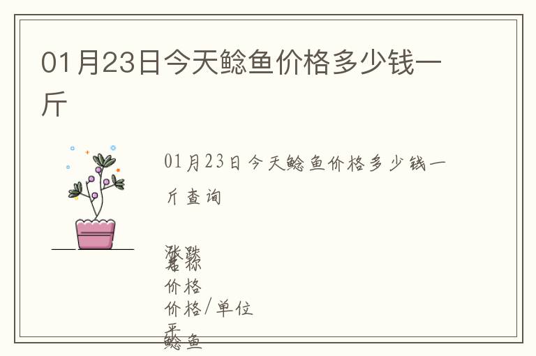01月23日今天鯰魚價(jià)格多少錢一斤