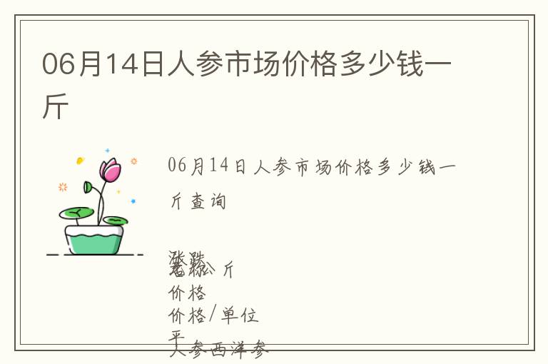 06月14日人參市場價格多少錢一斤