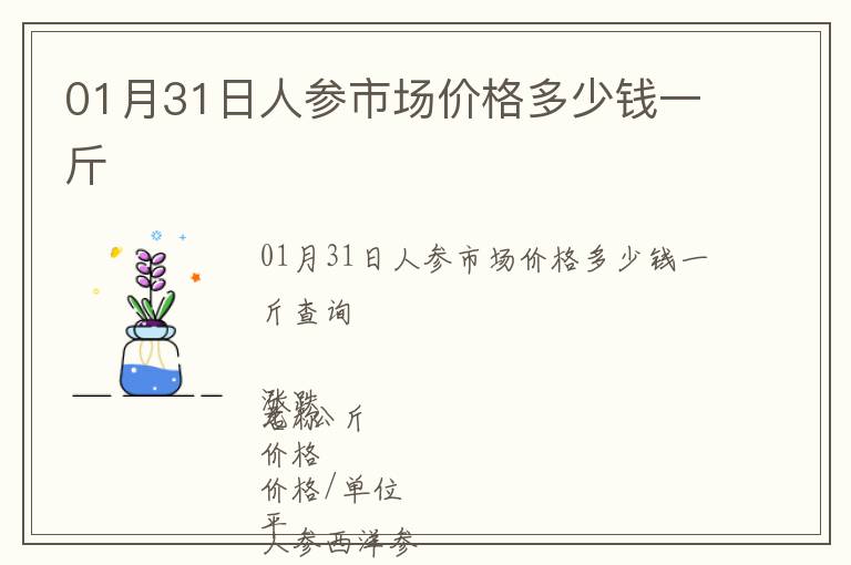 01月31日人參市場價格多少錢一斤