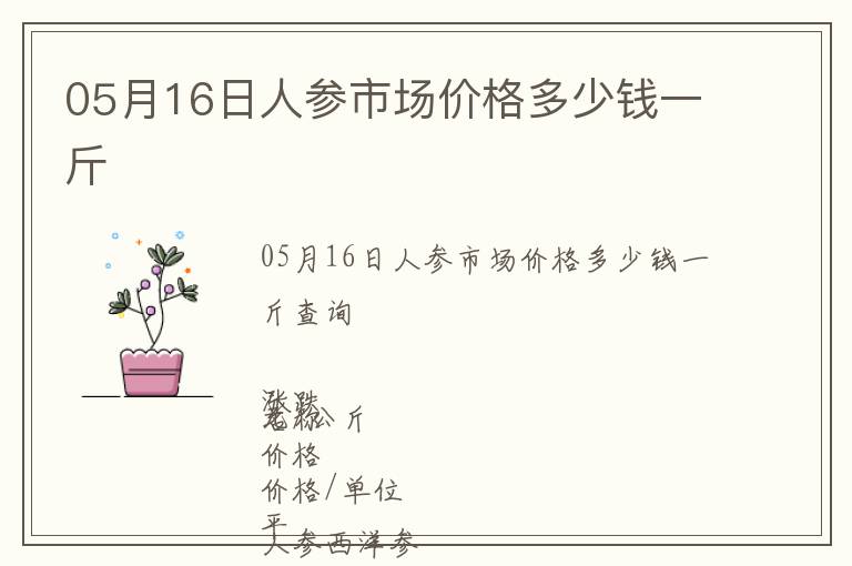 05月16日人參市場價格多少錢一斤