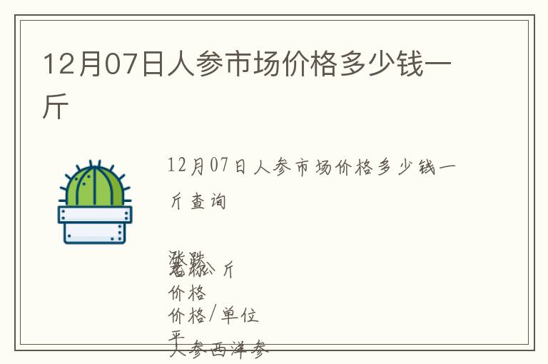 12月07日人參市場價格多少錢一斤