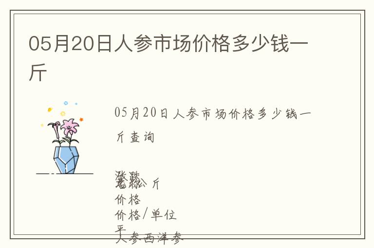 05月20日人參市場價格多少錢一斤