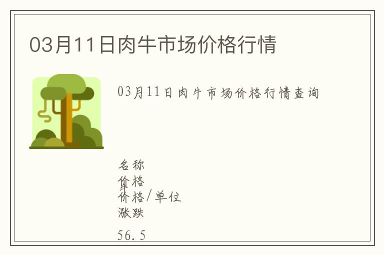 03月11日肉牛市場(chǎng)價(jià)格行情