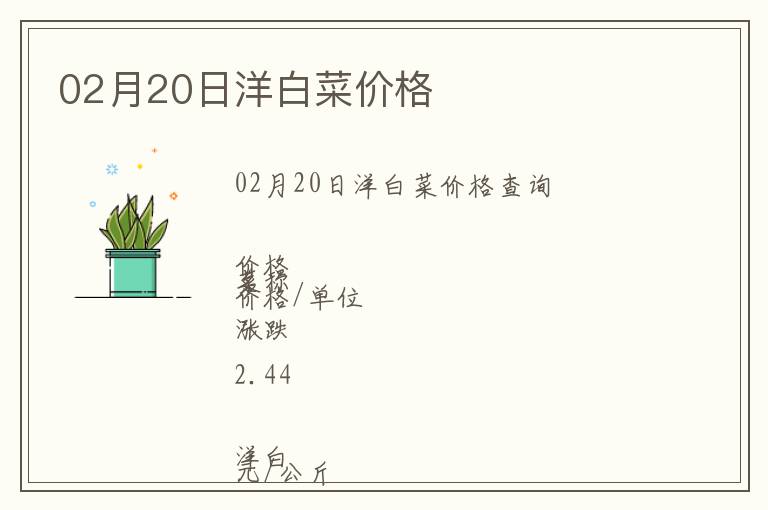 02月20日洋白菜價格