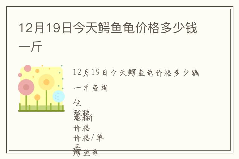 12月19日今天鱷魚龜價格多少錢一斤