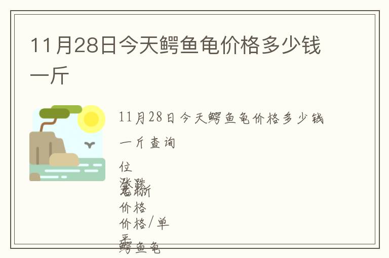 11月28日今天鱷魚龜價格多少錢一斤
