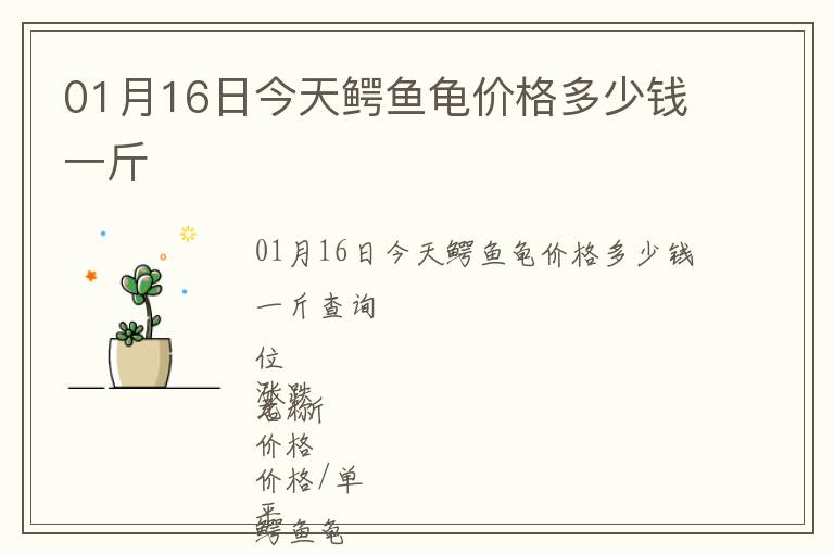 01月16日今天鱷魚龜價(jià)格多少錢一斤