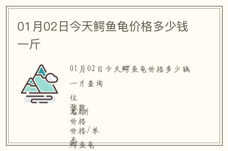 01月02日今天鱷魚龜價(jià)格多少錢一斤