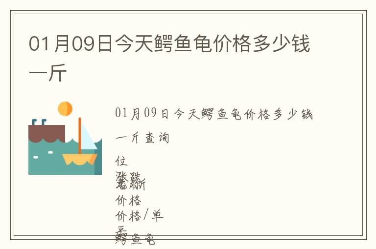 01月09日今天鱷魚龜價格多少錢一斤