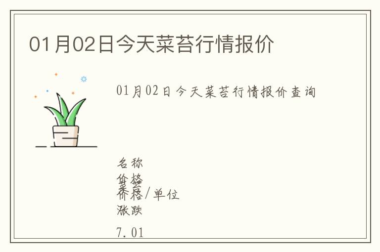 01月02日今天菜苔行情報(bào)價(jià)