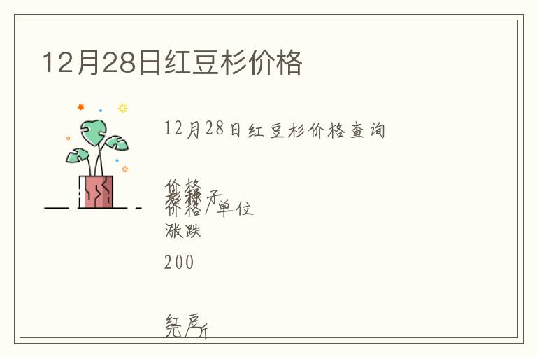 12月28日紅豆杉價格