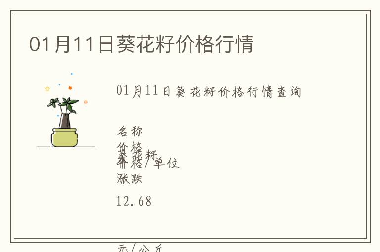 01月11日葵花籽價格行情