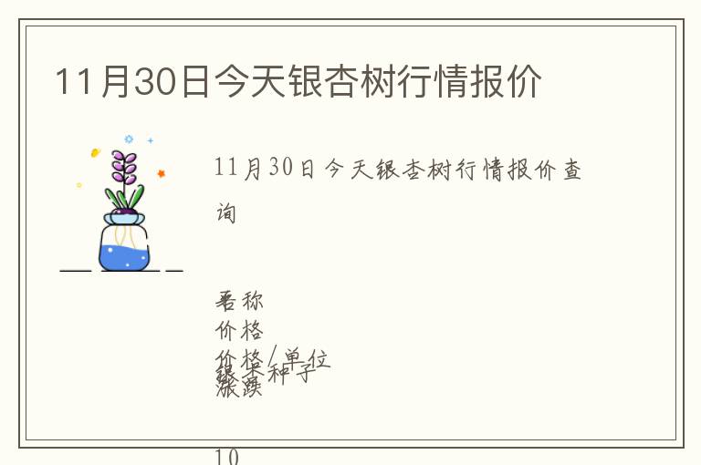 11月30日今天銀杏樹(shù)行情報(bào)價(jià)