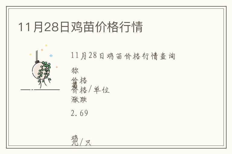 11月28日雞苗價格行情
