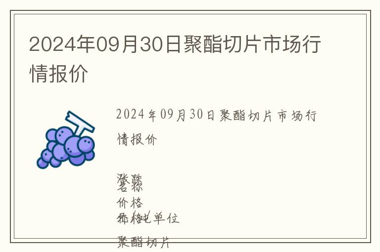 2024年09月30日聚酯切片市場行情報(bào)價(jià)