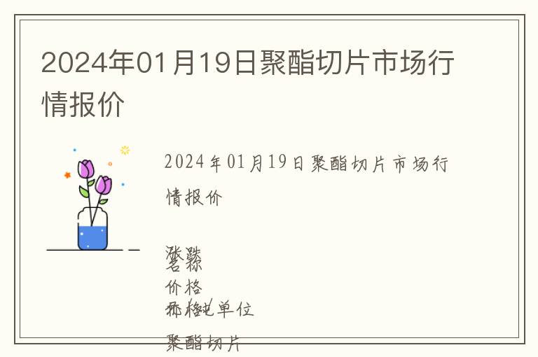 2024年01月19日聚酯切片市場行情報價