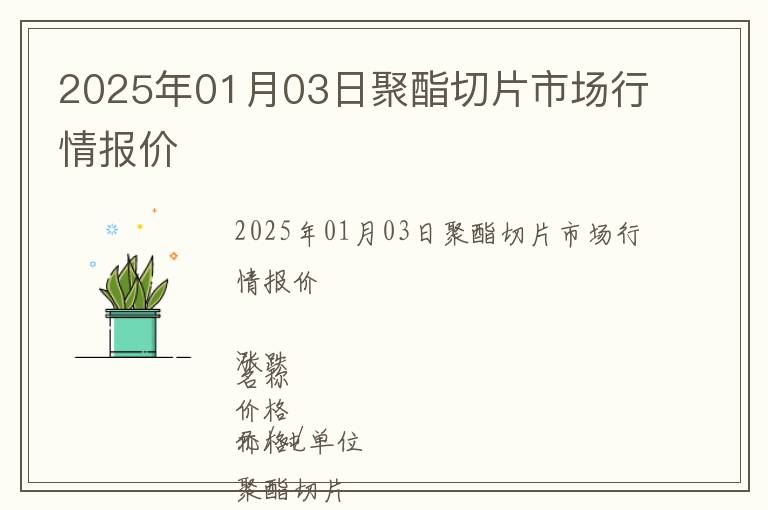 2025年01月03日聚酯切片市場行情報價