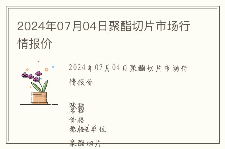 2024年07月04日聚酯切片市場(chǎng)行情報(bào)價(jià)