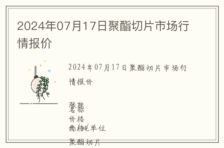 2024年07月17日聚酯切片市場行情報價