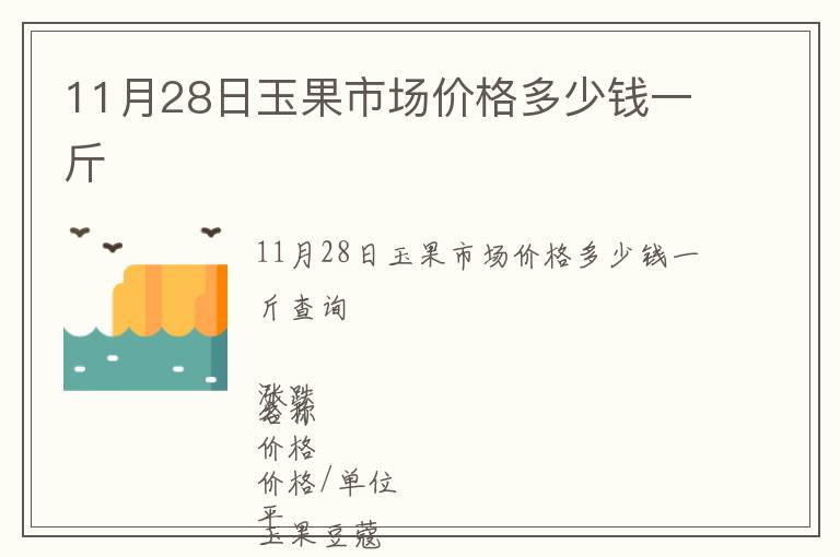 11月28日玉果市場價格多少錢一斤