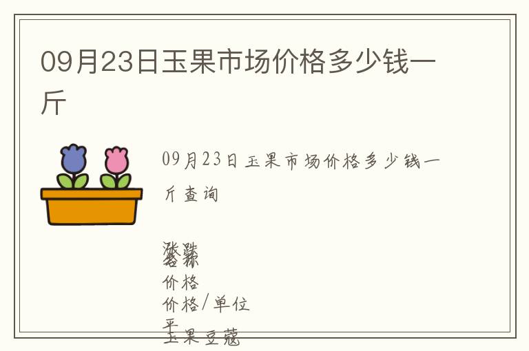 09月23日玉果市場價格多少錢一斤