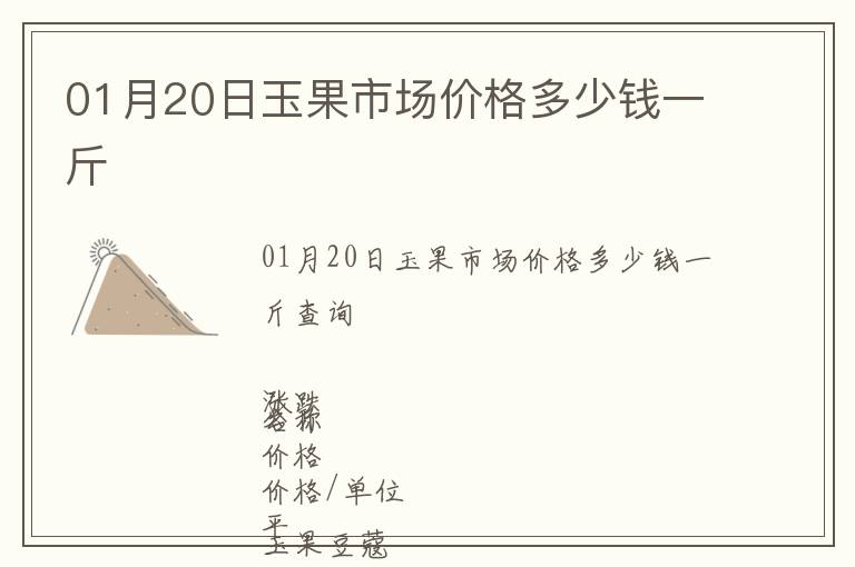 01月20日玉果市場(chǎng)價(jià)格多少錢(qián)一斤