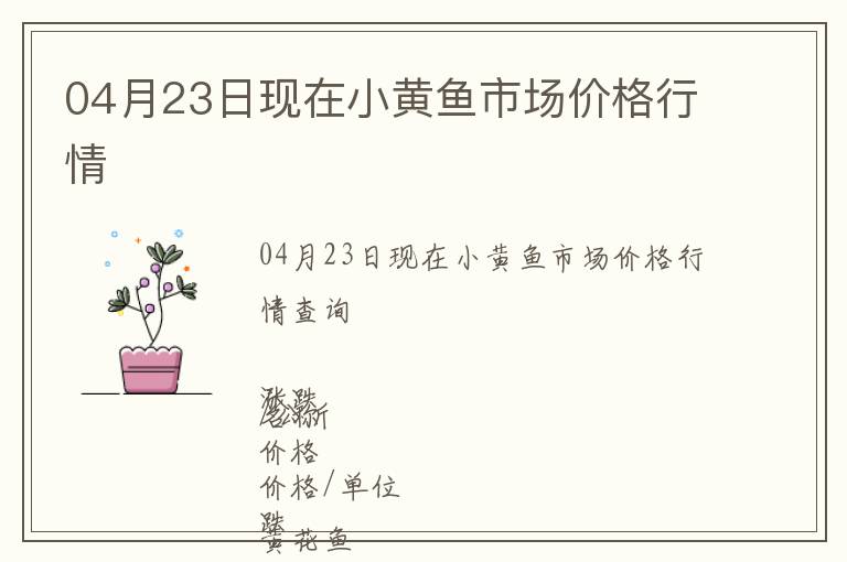 04月23日現(xiàn)在小黃魚市場(chǎng)價(jià)格行情