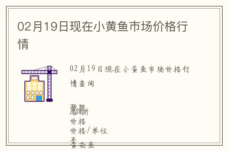 02月19日現(xiàn)在小黃魚(yú)市場(chǎng)價(jià)格行情