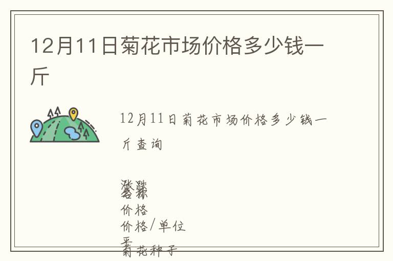 12月11日菊花市場價格多少錢一斤