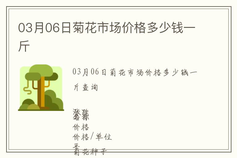 03月06日菊花市場價格多少錢一斤