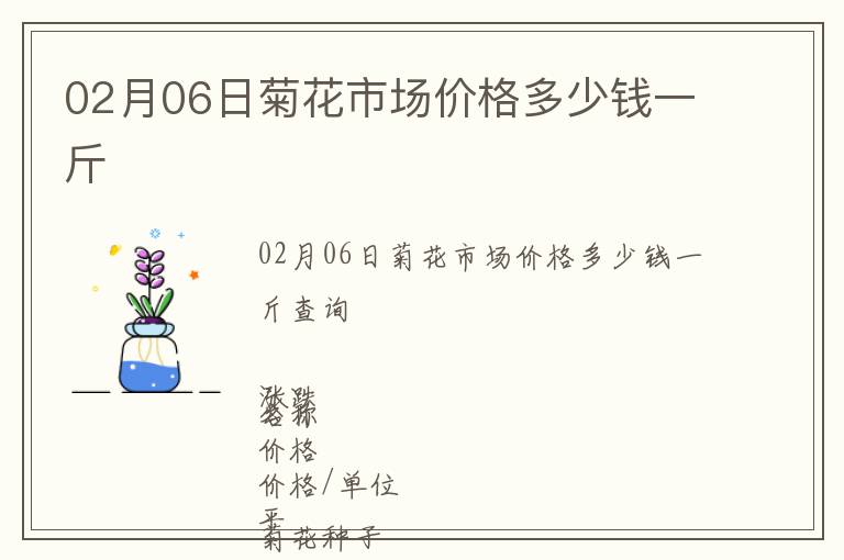 02月06日菊花市場價格多少錢一斤