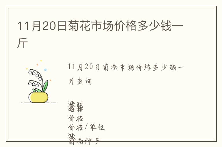 11月20日菊花市場價格多少錢一斤