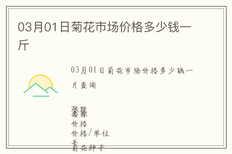 03月01日菊花市場價格多少錢一斤