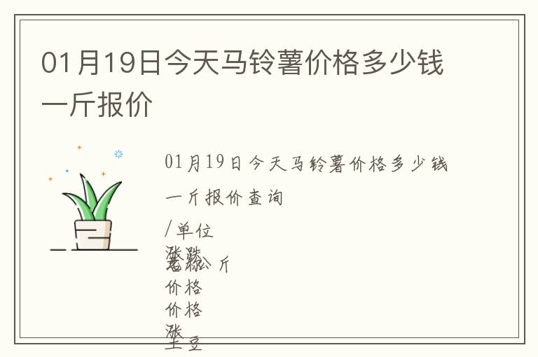 01月19日今天馬鈴薯價格多少錢一斤報價