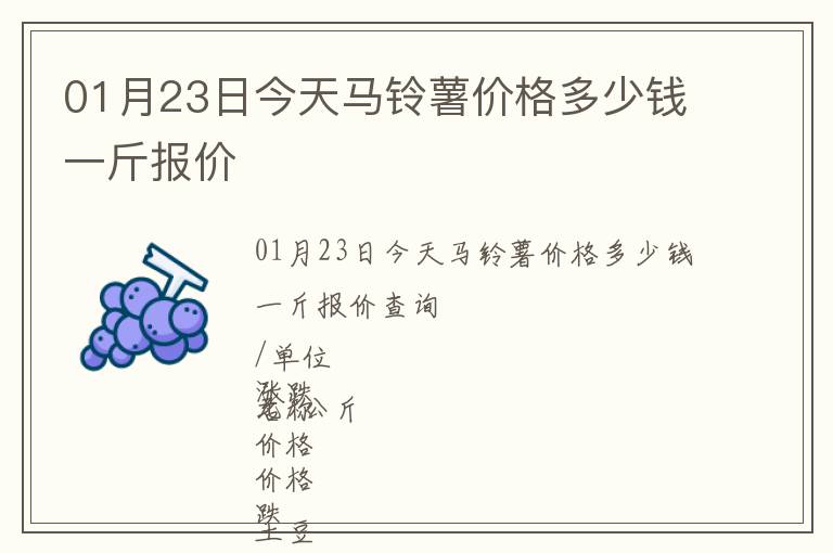 01月23日今天馬鈴薯價格多少錢一斤報價