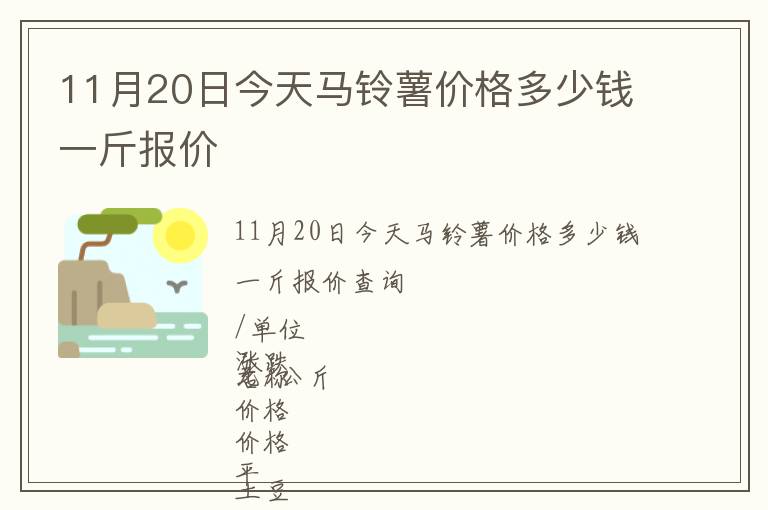 11月20日今天馬鈴薯價格多少錢一斤報價